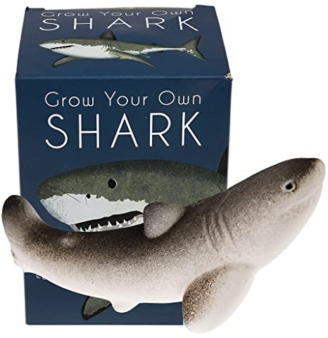 Rex London großer schlüpfender Hai im Ei/Überraschungsei „Shark Egg (Hai Ei)“: 8 x 8 x 11 cm, im Wasser wachsender Hai im Ei, Hatching Egg