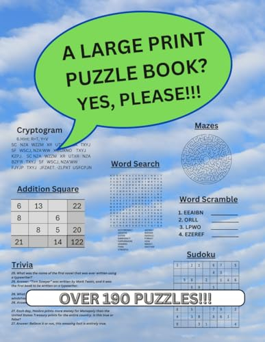 A Large Print Puzzle Book? Yes, Please!!!