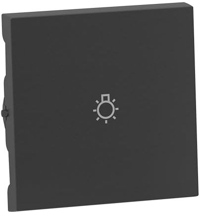 LEGRAND, SEANO Wippe mit Lichtsymbol für Wechselschalter, Taster und Kreuzschalter, Schalterabdeckung, Wippenplatte, Farbe: Aluminium lackiert, 765413