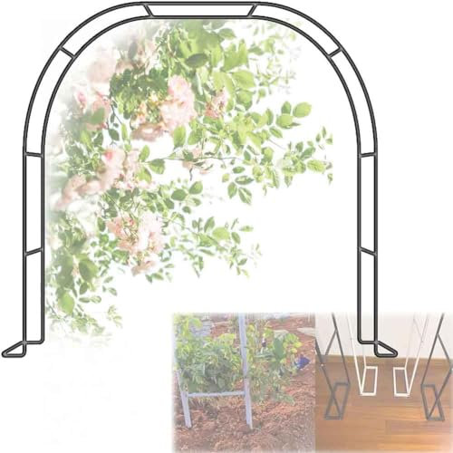 Arche de jardin extra large en métal pour plantes grimpantes, tonnelle de rose robuste avec grande hauteur de 240 cm et largeur de 120 cm, parfaite pour les mariages, arche noire pour décoration de