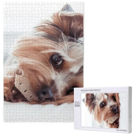 Jigsaw Puzzles for Adults 1000 Piece Jigsaw Puzzles for Adults,Jigsaw Puzzle 1000 Pieces for Adults Challenging Puzzle Games Yorkshire Terrier,19.7x29.5in