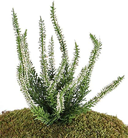 artplants.de Kunstblume Erika IMKE auf Steckstab, Creme, 25cm, Ø 18cm - Heidekraut künstlich