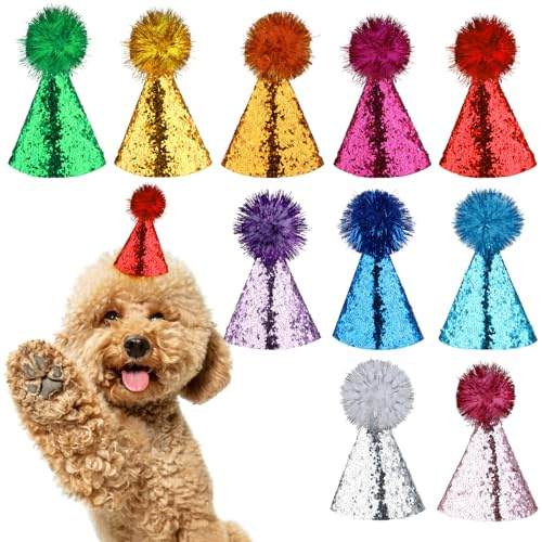 10 Stück Partyhüte für Kuscheltiere, Mini Hütchen Katzen Geburtstag Verstellbare Geburtstagshut Hund Blitzkappe Mehrfarbige Kopfbedeckung für Welpen Katzen Kostüme Zubehör Party Dekorationen