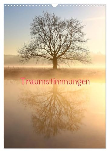 Traumstimmungen (Wandkalender 2026 DIN A3 hoch), CALVENDO Monatskalender: Nebelstimmungen an der Ruhr (CALVENDO Natur)