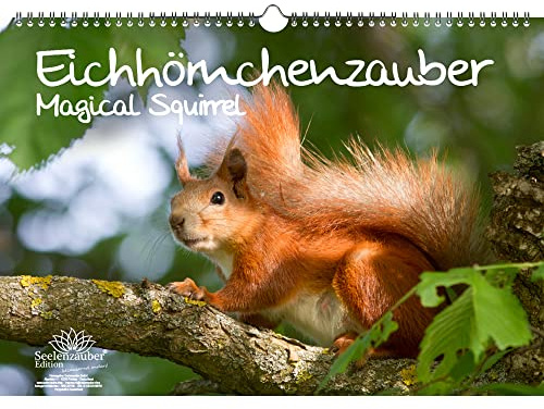 Eichhörnchenzauber DIN A3 Immerwährender Kalender Eichhörnchen - Seelenzauber