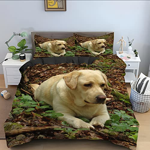 Winter Bettwäsche 135x200 Brauner Labrador Bettwäsche-Sets 3D Drucken Luftdurchlässiger Bettbezug + 2 Kissenbezug 80x80 cm mit Reißverschluss Geeignet für Kinder, Baby
