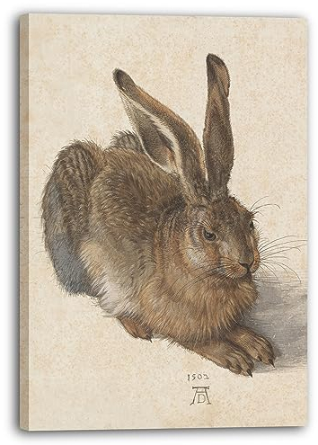 Leinwandbild (30x40cm) Albrecht Dürer: Feldhase, Leinwand auf Keilrahmen gespannt und fertig zum Aufhängen, hochwertiger Kunstdruck aus deutscher Produktion