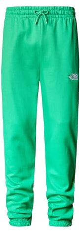 THE NORTH FACE Essential Trainingshose Optic Emerald L