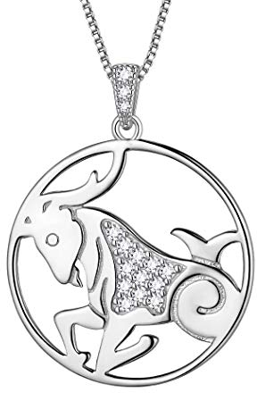 Aurora Tears Capricorn Necklace 925 Sterling Sliver 12 Zodiac Pendant Constellation Round Coin Necklace CZ Horoscope Jewellery Gift for Women and Girls DP0111M