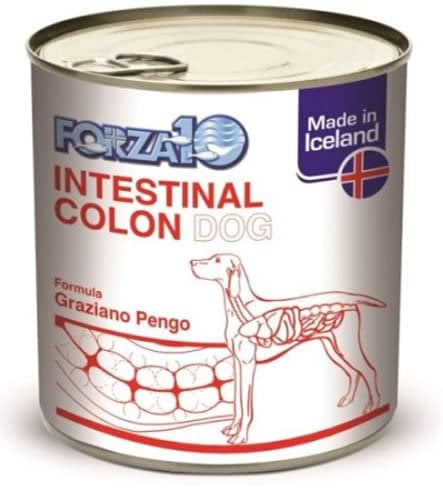 Forza 10 Intestinal Colon feucht, 390 g