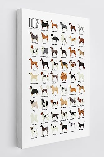 Aquarell-Poster mit Hunderassen und Arten von Hunden, Wandkunst, 27,9 x 35,6 cm, Drucke, Dekoration für Zuhause, Schlafzimmer, Mädchenzimmer, Wohnzimmer, Hundeliebhaber, Geschenke, Hundebesitzer,