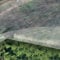 TENAX Ortoclima 2,00x20 m Blanco, en Rollo, Velo Protector Antihielo Ligero para Plantas y Cultivos, de TNT Tejido no Tejido Transpirable 17 g/m², Protege Plantas y Hortalizas