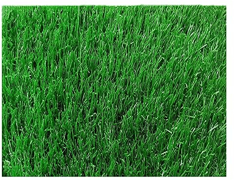 RUANLOV Kunstrasenteppich Outdo, Kunstrasen Teppich, Rasen für Balkon Terrasse & Garten, Rasenteppich Outdoor, Premium Kunstrasen für Hunde Indoor Outdoor (2x18m/6.6x59ft)