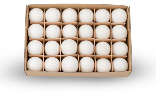 NaDeco Natürliche Dekoeier von, Gänseeier, Wachteleier, Hühnereier, Enteneier, Truthahneier für Ihre Osterdekoration zur Auswahl, Farbe:Hühnereier Weiß 24 Stk.