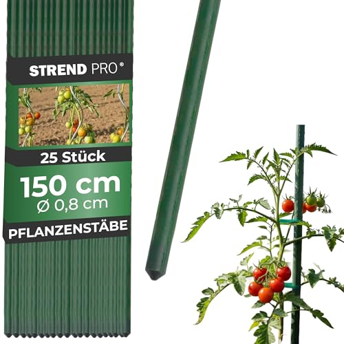 STREND PRO Pflanzstäbe 150 cm - 25 STK. Set | Ø 8 mm Stahl + Kunststoff | Rankstab Grün | Tomaten & Bohnenstangen | Pflanzenstütze groß | Metalle Rankhilfe | Stützstäbe für Pflanzen | Pflanzstütze