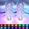 YeahBoom 2 Stück LED Kristall Tischlampe,2000mAh 16 Farben Touching Control Rose Crystal Lampe,Nachttischlampe Touch Dimmbar mit Fernbedienung,RGB Farbwechsel Nachtlicht für Schlafzimmer Wohnzimme