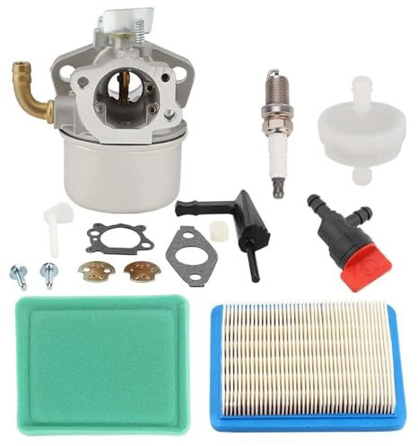 Harbot 798653 591299 Carburateur pour Intek 206 5 5.5 6 6.5 HP Pièces de moteur Remplacement 214731 791077 790290 697354 698860