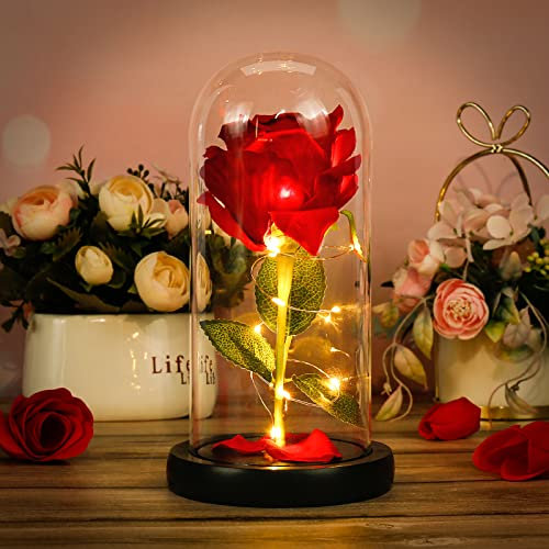Rosa Eterna Kit, Bella e la Bestia Rose Romantica Rosa Decorazione Elegante Cupola di Vetro,Rosa Eterna Fiore Artificiale con Base Pino Luci LED per Natale San Valentino la Casa Festa Della Mamma (A)