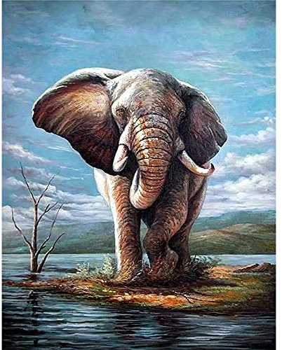 DCIDBEI Diamond Painting Eckige Steine Elefant 40x50 cm Diamond Painting Elefanten 5D Diamant Painting Bilder Erwachsene Malen nach Zahlen Elefant Diamant Malerei Set Stickbilder Kreuzstich Tiere