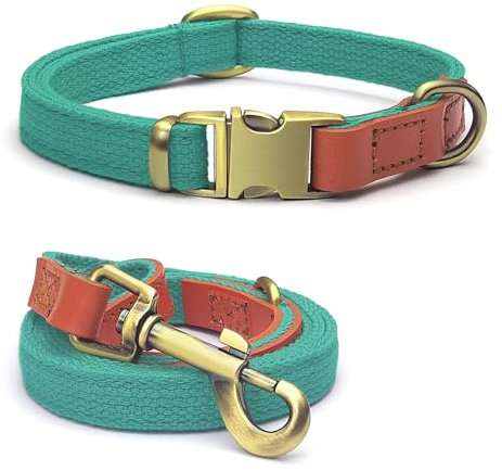 Qianruida Hundehalsband und Leine Set Hunde Halsband und Leine Verstellbares Hundehalsband Hundehalsbänd Leine für Kleine Mittlere Große Hunde- Cyan,M