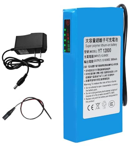 SSCYHT Batteria Litio 12V 8000mAh DC Batteria Ricaricabile Portatile agli ioni Litio per Dvd CCTV Lettori MP4/striscia Luminosa LED/Telecamera con Caricabatterie,with Light 12v 8000mah