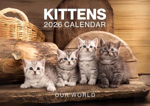 Kitten Calendar 2026, Cat Wall Calendar 2026. Large 12 Month, Month to View with Notes & Checklist Pages, UK Made by Our World