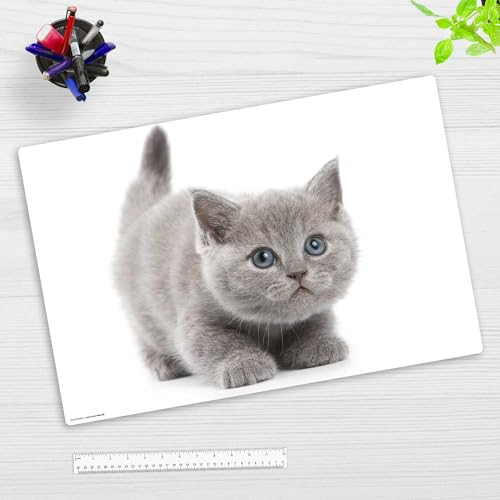 Schreibtischunterlage Kinder und Erwachsene – “Süße graue Katze“ – aus erstklassigem, strapazierfähigem Vinyl (Kunststoff) – 60 x 40 cm – Rutschfeste Tischmatte mit bestem Schutz – Made in Germany