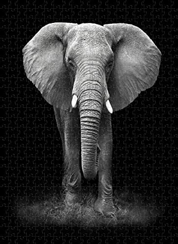 Puzzle für Erwachsene, 8000 Teile, Schwarz-Weiß-Elefant, Intelligenzentwicklung für Kinder