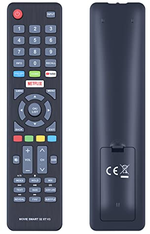 GOUYESHO Nouvelle télécommande de Remplacement pour Dyon Smart 43 XT D800169 D800173, Smart 32 XT D800168, Smart 55 XT-2 D800205 (Pas pour Smart 32 XT V2, 32 XT V4, Smart 32 XT D800171, 43 XT V2)