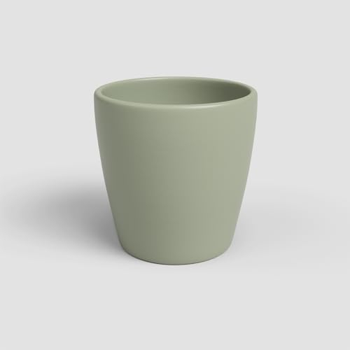 Artevasi Thalia Orchid Pot, Pot en céramique, 14cm de diamètre, Couleur Vert Clair