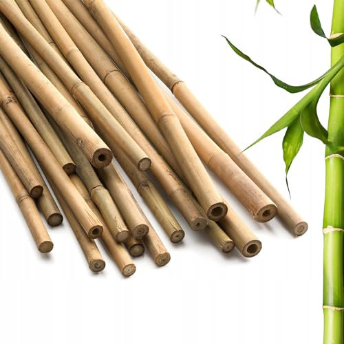 Blado Thick Bamboo Canes - Heavy Duty, Natural Garden Stakes, Strong Bamboo Sticks for Plant Support - Ideal for Gardens, Balconies, Patios, and Outdoor Spaces 2FT,3FT,4FT,5FT,6FT (10, 4ft, 14-16mm)