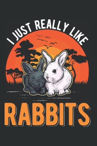 Kaninchen Tagesplaner: I just really like Rabbits Hase Kaninchen / Kalender 2023 & 2024 / Wochenplaner Tagesplaner Planer / Planungsbuch To-Do-Liste / 6x9 Zoll / 100 ausfüllbare Seiten