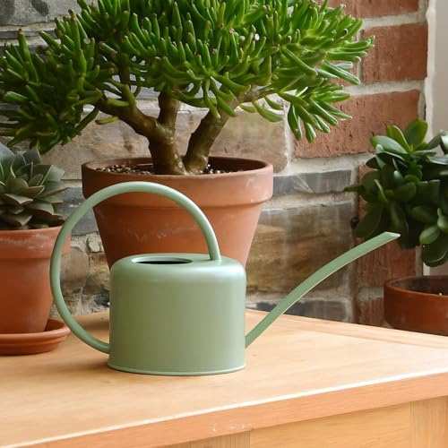 CKB Ltd® Small 1.1L Indoor Watering Can - Sage Coloured Galvanised Powder Coated Steel - For Houseplants Contemporary Metal Design With Narrow Spout And High Handle (Sage Green)