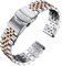 BINLUN Bracelets de Montres en Acier Inoxydable 18mm 20mm 22mm 24mm 26mm Bracelet Montre Metal Bracelets de Remplacement pour Montres Connectées pour Homme et Femme (Argent + Or Rose, 20mm)