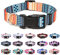 Suredoo Hundehalsband Verstellbares, Weich & Komfort Nylon Hunde Halsband für Kleine Mittlere Große Hunde Welpen Katzen (S, Orange)