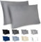 Dreamzie Federe Cuscino Letto 40x70cm - Set da 2 in Microfibra Spazzolata con Cerniera Certificate Oeko-Tex - Federe Cuscini Letto Matrimoniale - Antracite