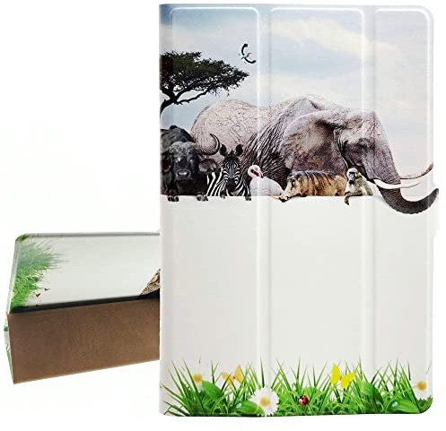 Tablets hülle Kompatibel für Reinkstone R1 Kaleido Plus 6.0 Inch eReader Case Flip Stand Cover DWSJ