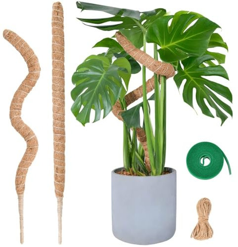 Voarge Monstera - Set di 2 supporti per rampicanti, 60 cm, flessibile, per Monstera, per piante rampicanti, asta per piante rampicanti, con anima in alluminio