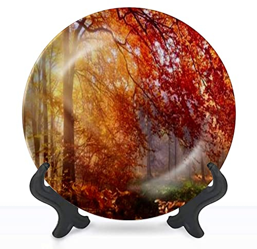 Dekorative Teller Herbst im Wald Sonnenstrahlen fallen durch Nebel und eine schöne rote Wanddekoration, Keramik-Ornament mit Ständer und Haken für Festivals, Partys, Hochzeiten, 25,4 cm, Sammlerplatte