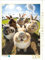 CALVENDO Puzzle Hasen | 1000 Teile Lege-Größe 48 x 64 cm Foto-Puzzle für glückliche Stunden