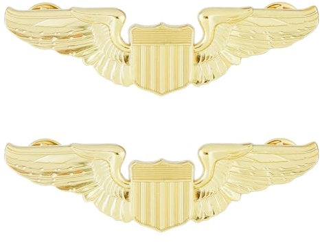 SUPERFINDINGS 2 Stk Flügel Anstecknadel Gold Piloten Flügel Anstecknadel Pilotenkostüm Anstecknadel Pilotenabzeichen Brosche Aus Legierung Air Force Flügel Anstecknadel Metall Flieger Anstecknadel