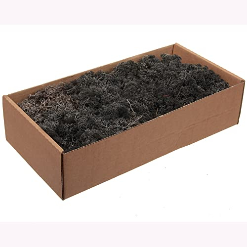 Finnland - Moos zum Basteln - vorgereinigt - präpariert & gefärbt - Luftgetrocknet - Bastelmoos Finnlandmoos (Farbe: Schwarz, Größe: 500g)