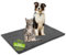 Craft Story Hundedecke Gaia aus 100% Baumwolle 75 x 90 cm Dunkelgrau - waschbar faltbar ideal für Auto Kofferraum Sofa - Schutzdecke für Hunde und Katzen - Ruhedecke für Zuhause und Unterwegs