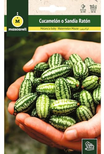 Mascarell Semillas, SANDÍA, Semillas Huerto, CUCAMELON-SANDIA RATON, Crea tu Propio Huerto Urbano y Cultivo en Casa, Semillas de Cucamelón Orgánica, Plantas Hortícolas, 0,05 Gramos
