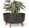 botle Bonsai Schale Baum Mini Garten Blumentopf an den Füßen Pflanzkübel D 38 cm Anthrazit Kunststoff Töpfe mit Einsatz Beton Optik Übertöpfe