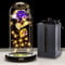 Touloube Regalo Mamma - Galaxy Rose Regalo per la Festa Della Mamma per Lei, Eterna Fiori con Luce a LED, Fiore Artificiale Regalo per Donne Mamma Moglie, Fiore Rosa in Cupola di Vetro Regalo