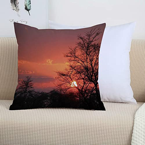 2er-Set Dekorativ Kissenbezug 45x45 cm,Afrikaner, Sonnenuntergang Kwando River Caprivi Strip Nami,Polyester Kissenbezüge Dekokissen Kissenhülle Set Kissen Fall für Sofa Auto Schlafzimmer Zuhause Dekor