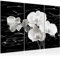 Runa Art Fleurs Orchidée Peinture Tableau Salon XXL Noir Et Blanc Abstrait 120 x 80 cm 3 Parties Decoration Murale 203231a