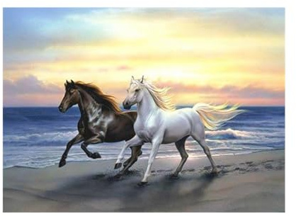 Pracht Creatives Hobby Diamond Painting Set, Bild mit Motiv Pferde am Strand und Zubehör, Bastelset zum Malen mit Glitzersteinchen, für Kinder ab 5 Jahren