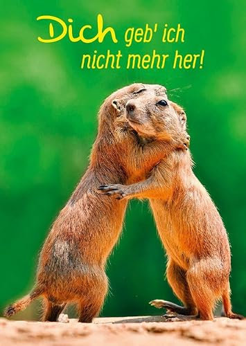 Gutsch Verlag Liebevolle Tier-Postkarte mit niedlichen Erdmännchen - Perfekt zum Verschenken!